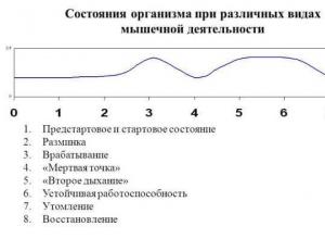 Элективные дисциплины по физической культуре и спорту